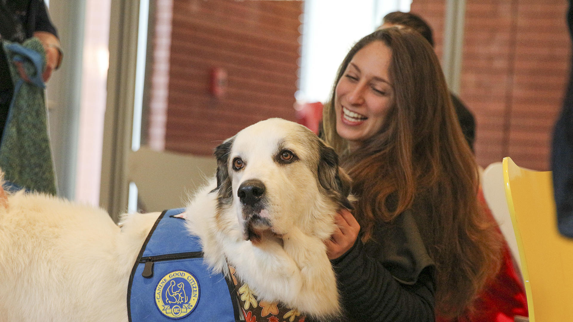 Colleges of the Fenway De-Stress Day