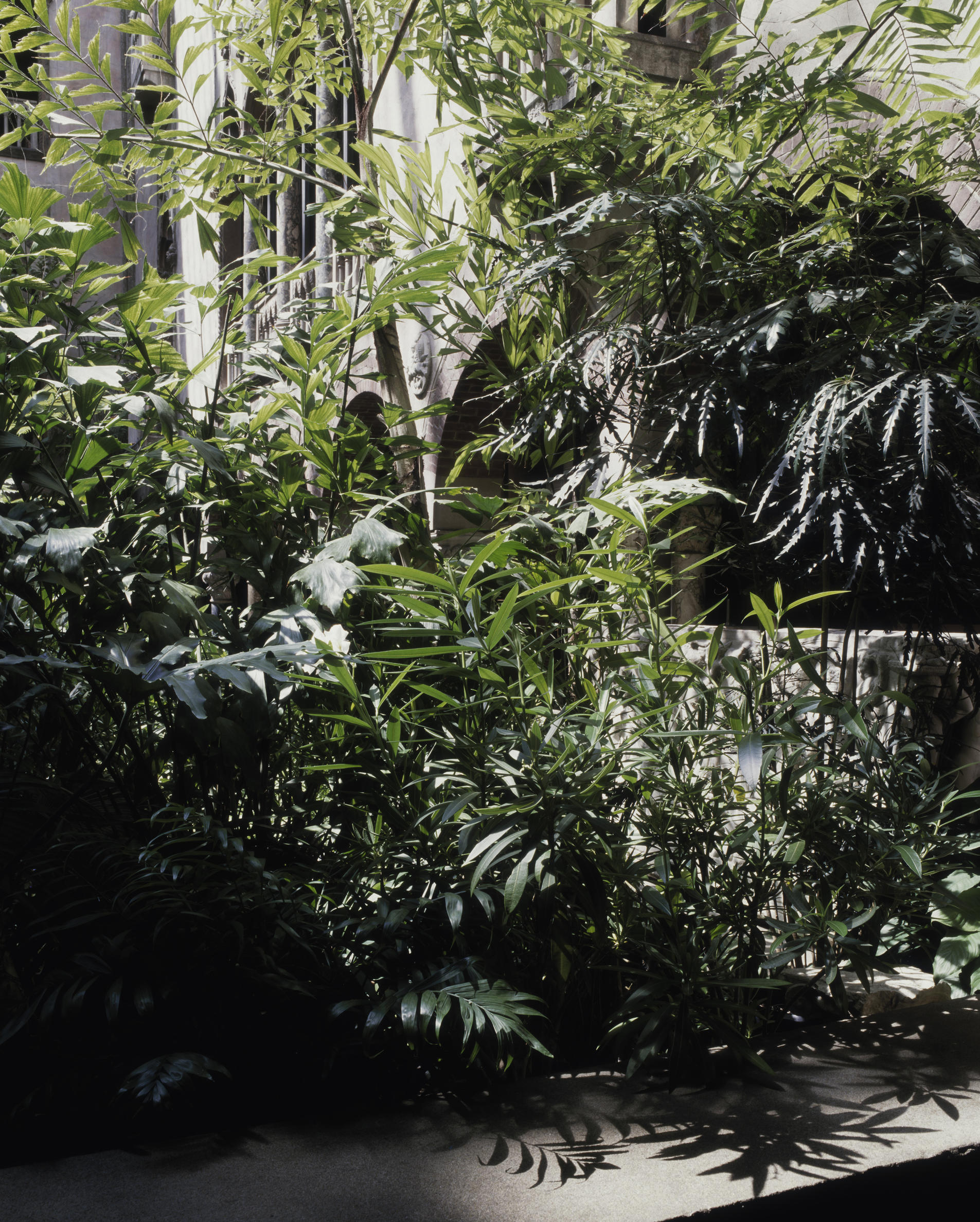 Luisa Lambri, Untitled (Isabella Stewart Gardner Museum #29), 2009, 70 x 62.3 cm