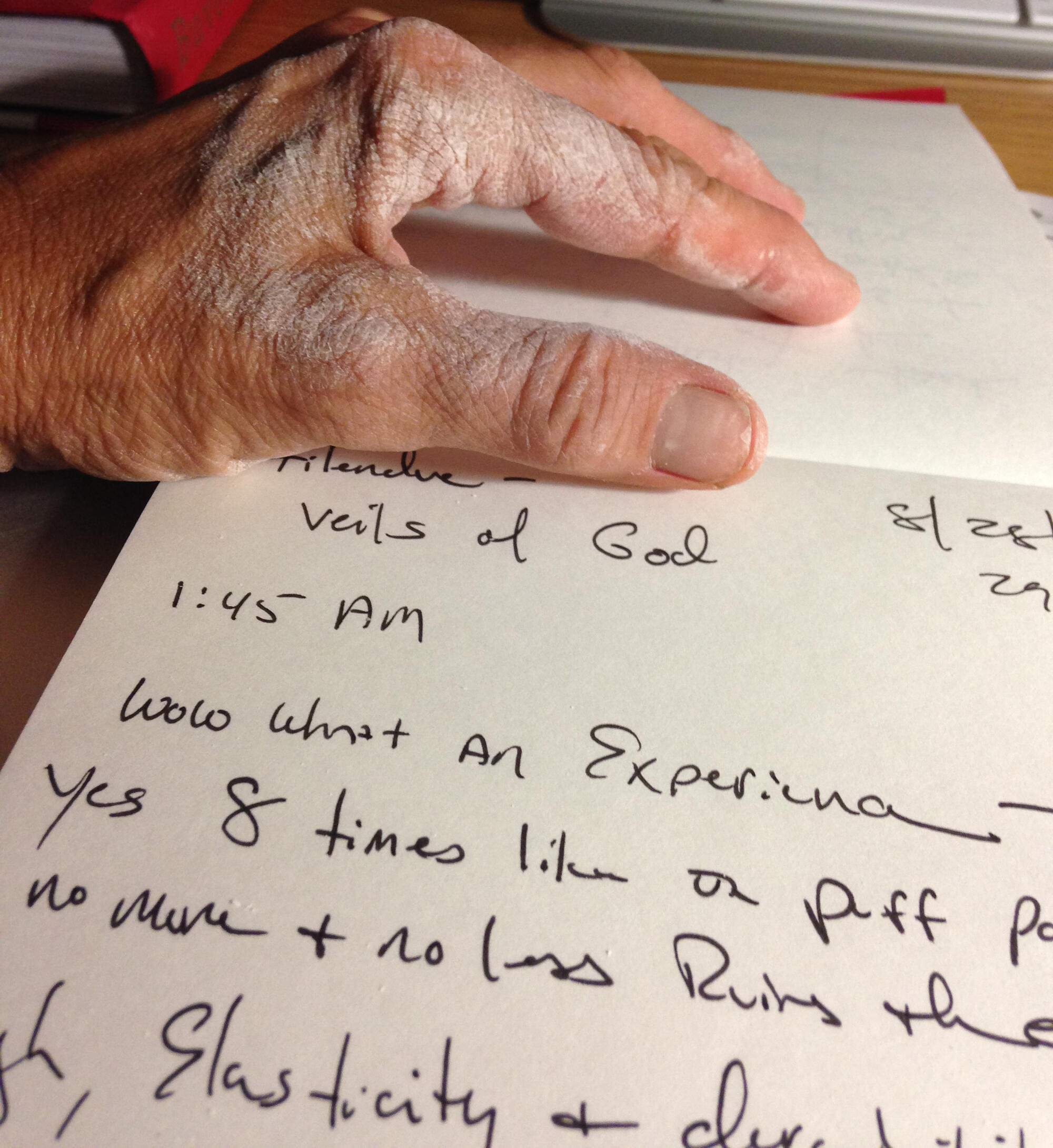 Barbara Lynch's notes, 2014